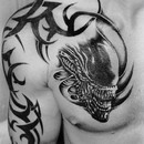 Аватара пользователя