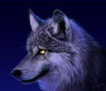 Аватара пользователя